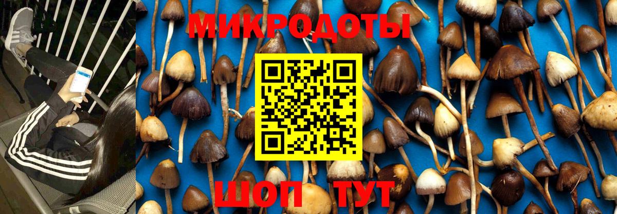Галлюциногенные грибы мухоморы Пушкино